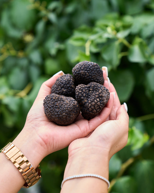 Settembre, il mese di passaggio: il Tartufo Estivo ci saluta, il bianco pregiato è alle porte